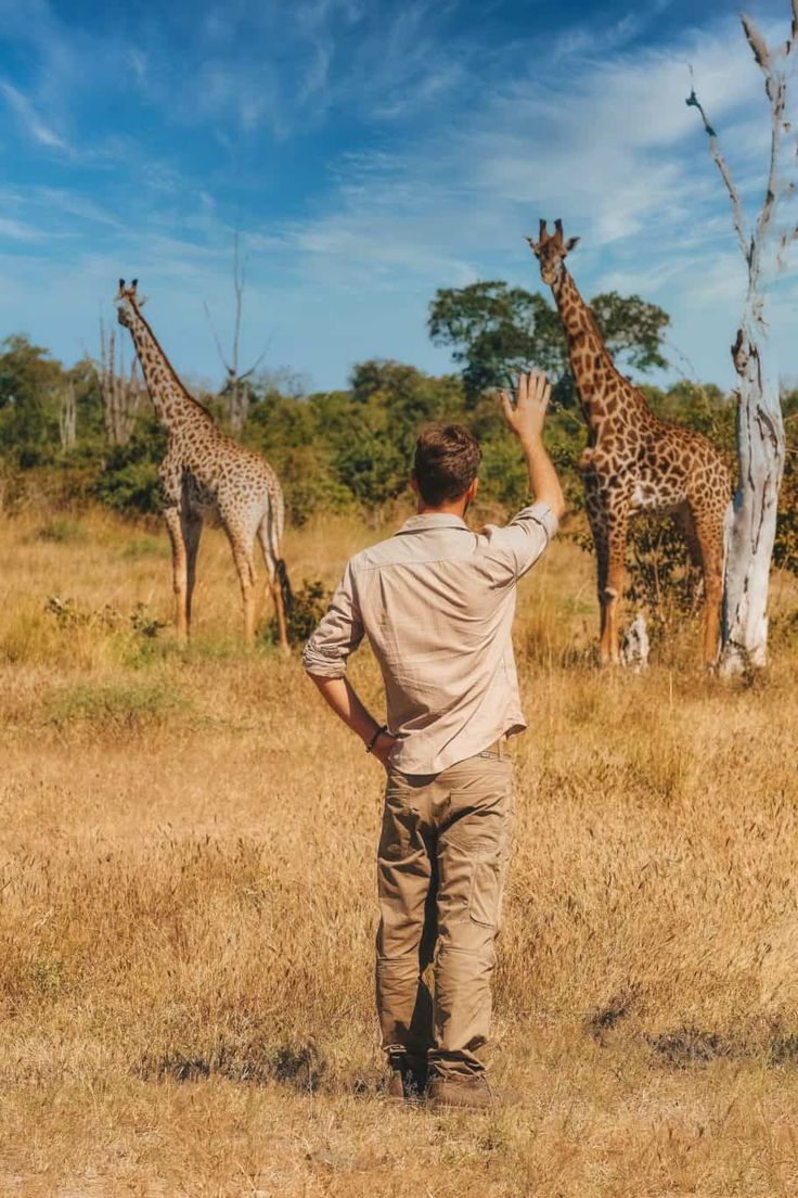 Safari Adventure in Africa